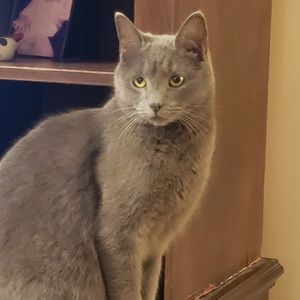 Meet your Posher, Mary-jo